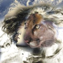 9cc7e328fea299ddad868e35a000c696